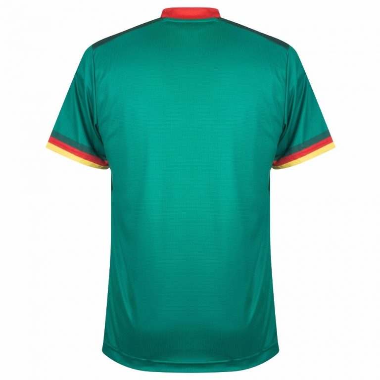 Maillot Cameroun 2022/2023 Domicile