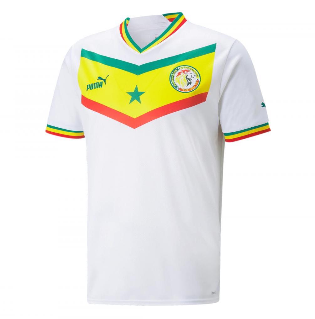 Maillot Cameroun 2024 2025