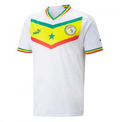 Maillot Cameroun 2024 2025